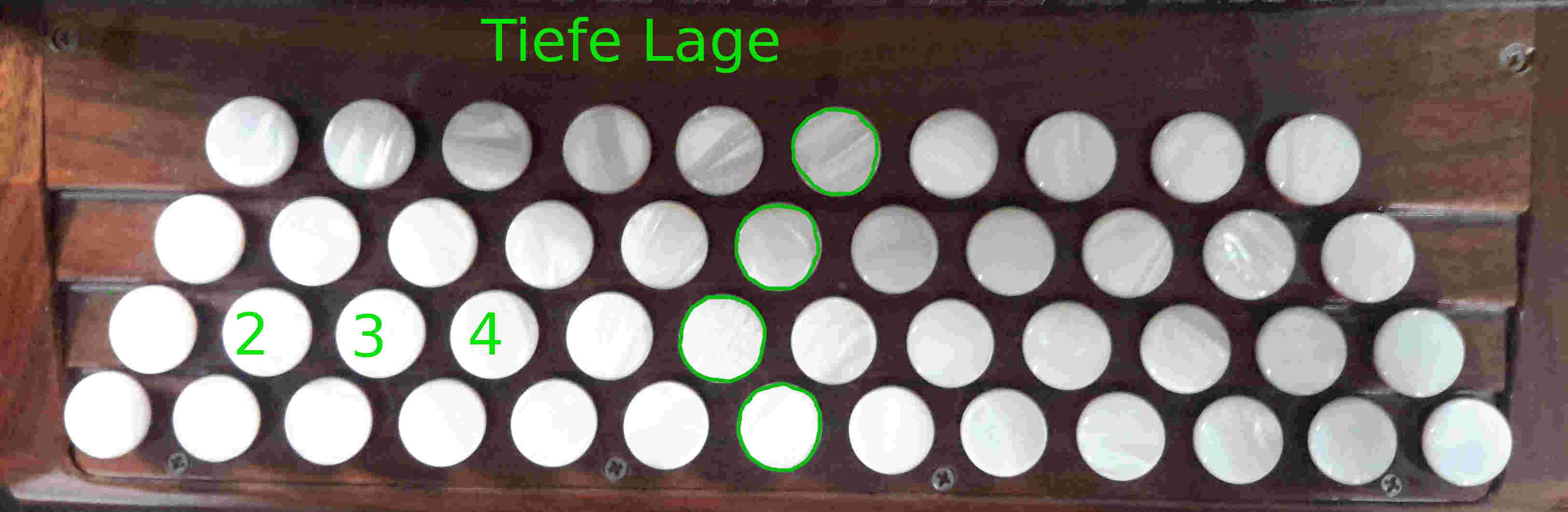 Die Lagen auf der Steirischen Harmonika- Die tiefe-Lage